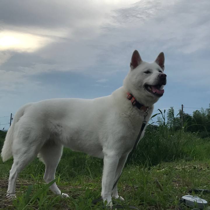 975302d3 aa5e 49a9 8957 0ffb42f82dd9