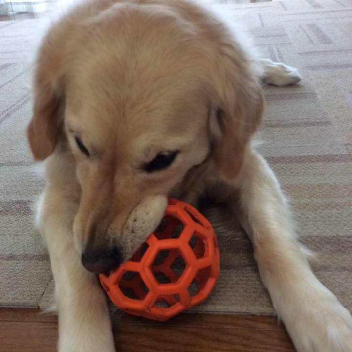 9753060e 5210 4a61 a4f7 7a96cf6290ff