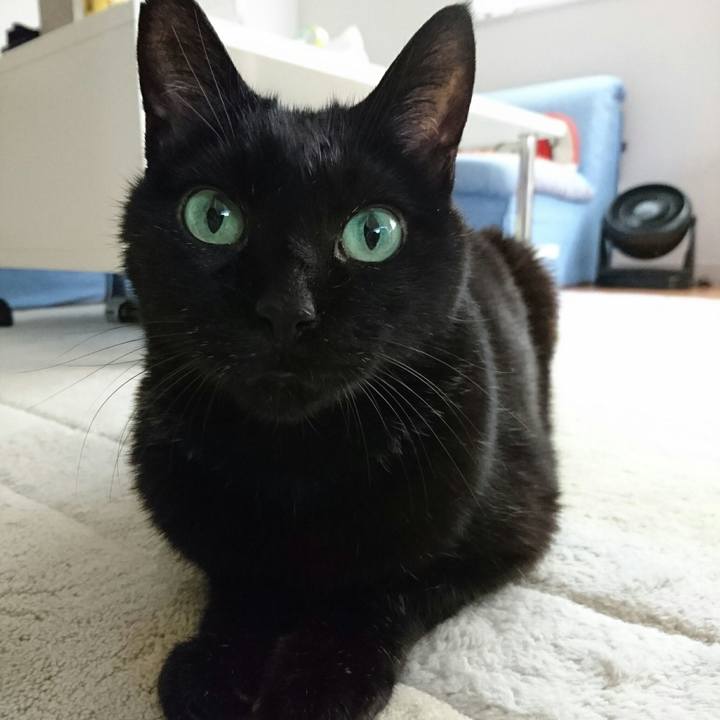 97531df8 a3c7 4ad1 b008 439371043c99