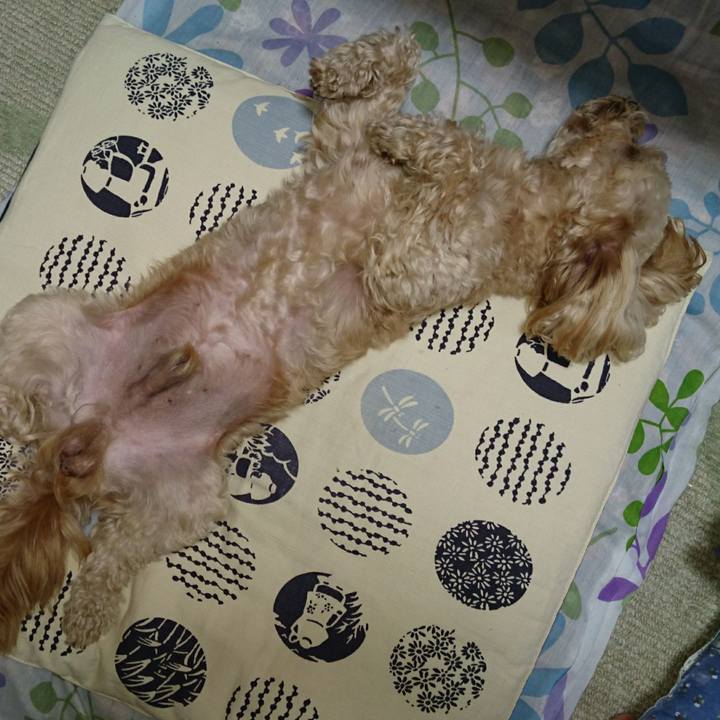 97536ce4 5ff0 45f9 9746 bed1215252a2