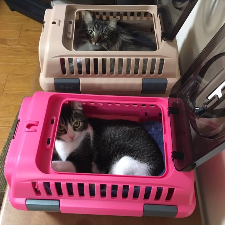 97544fa9 5006 490f 943a bf0d2467853b