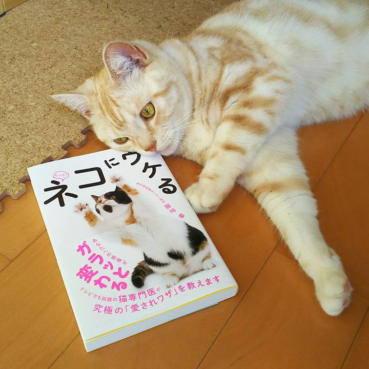 97545c89 b643 4b88 a0f2 5538fc388044