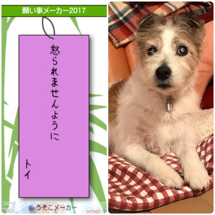 97545e2a 85fb 4230 bc37 4db876b3724b