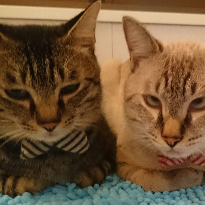 9754c2e4 f120 4ab4 9f98 e5f3d6646a58