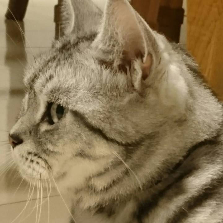 9754faa9 398c 4812 bca2 9c660bebc0e2