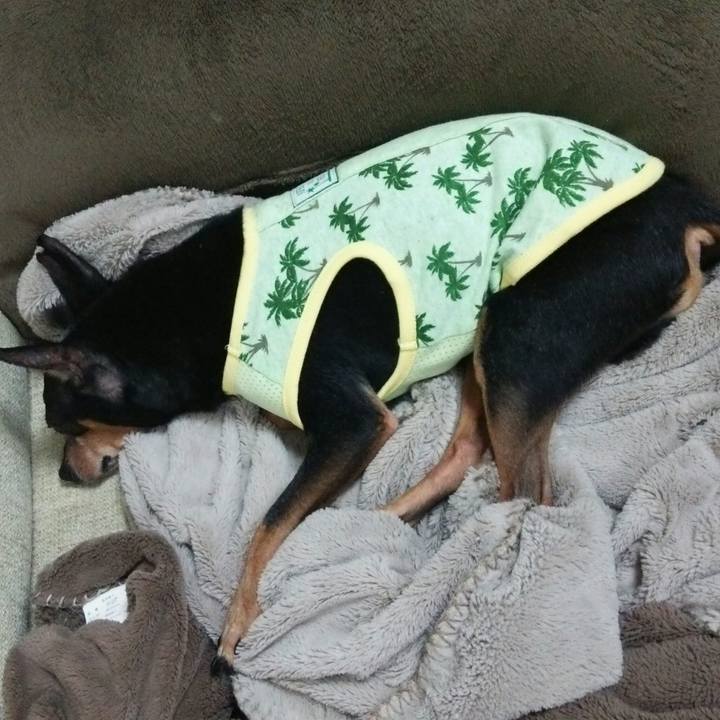 975548c6 9bc6 4cf7 980c 06c547b72dae