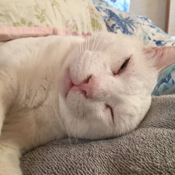 97558599 0fb1 4b80 86a3 8a7501830201