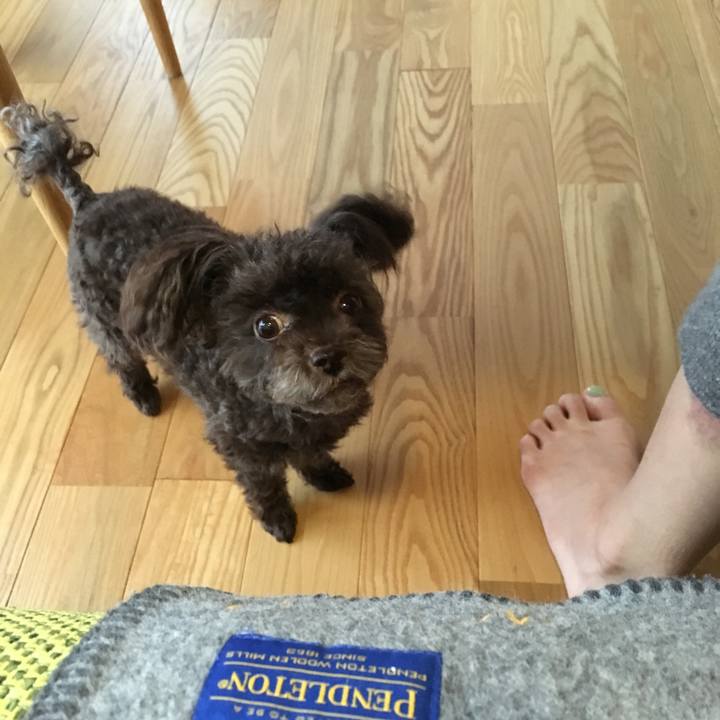 9755b3b3 f20b 425a b264 3b8241fa5066