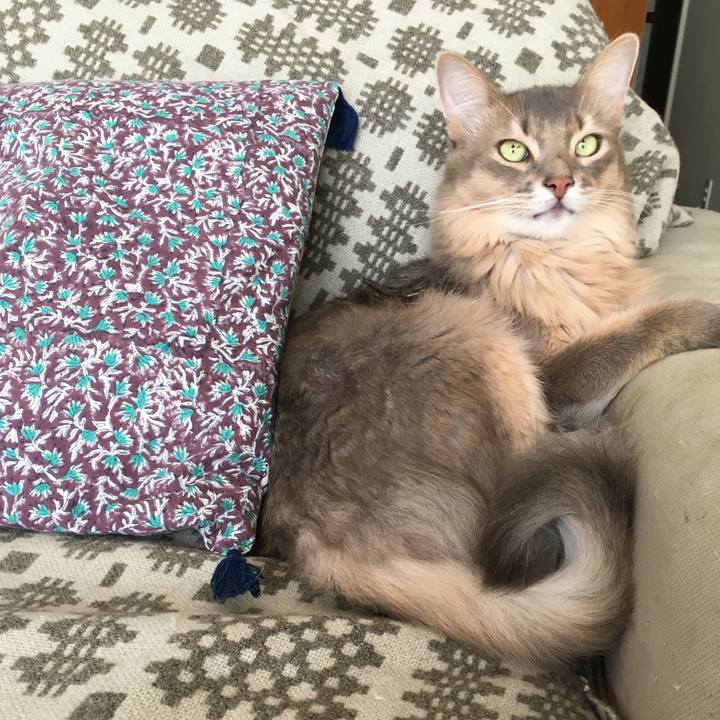 97568c79 0c0e 469b 9556 6b9148925f4d