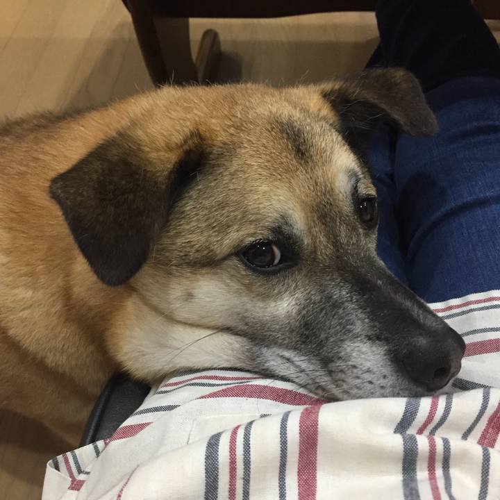 9756c4c2 e232 4c3b bf86 4c26135ce912