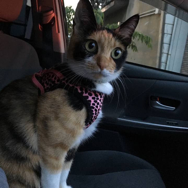 9757a11f eda5 4226 b873 b3226a085f4c