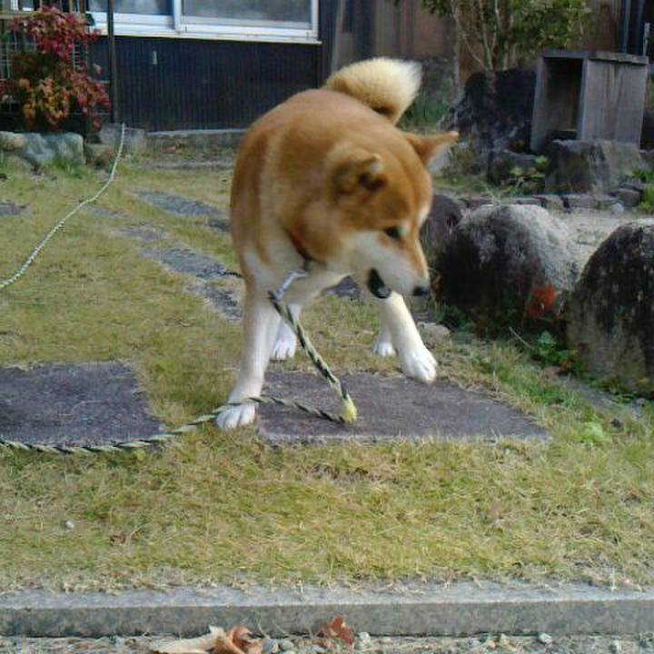 9758bd1b 1455 4960 b36e 61aabee09fec