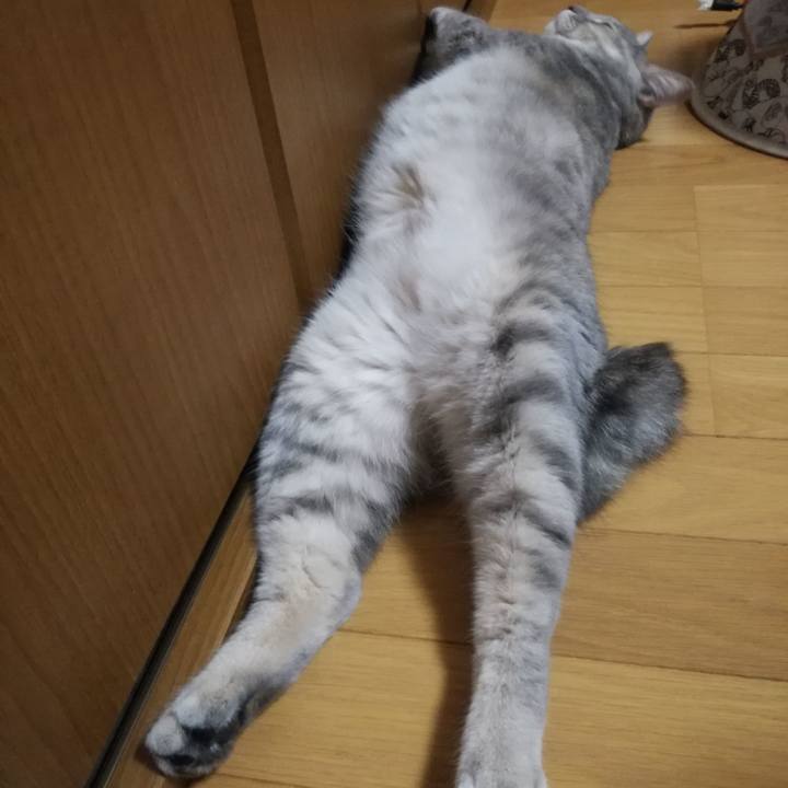 975965d7 d865 4822 9a52 830136ffbddf