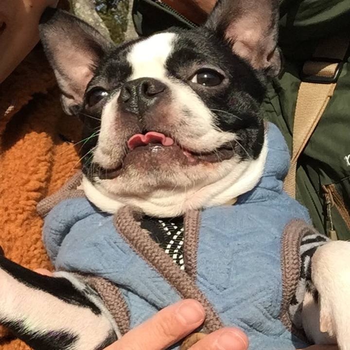 97596a5b c990 4cf8 bce9 1e84ce9c456e