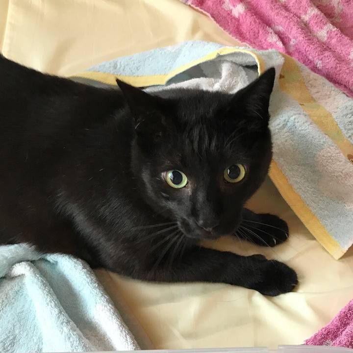 975a195d 4c68 4824 ae78 cec6b3d548b9