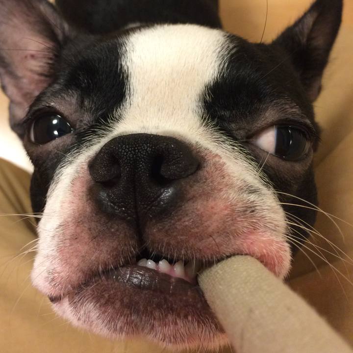 975a2e51 2b63 4245 96ab 70fe4c5ace36