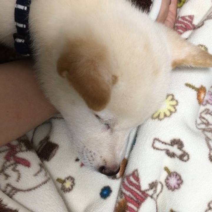 975ab310 64fe 459c a816 28cc1256bdb8