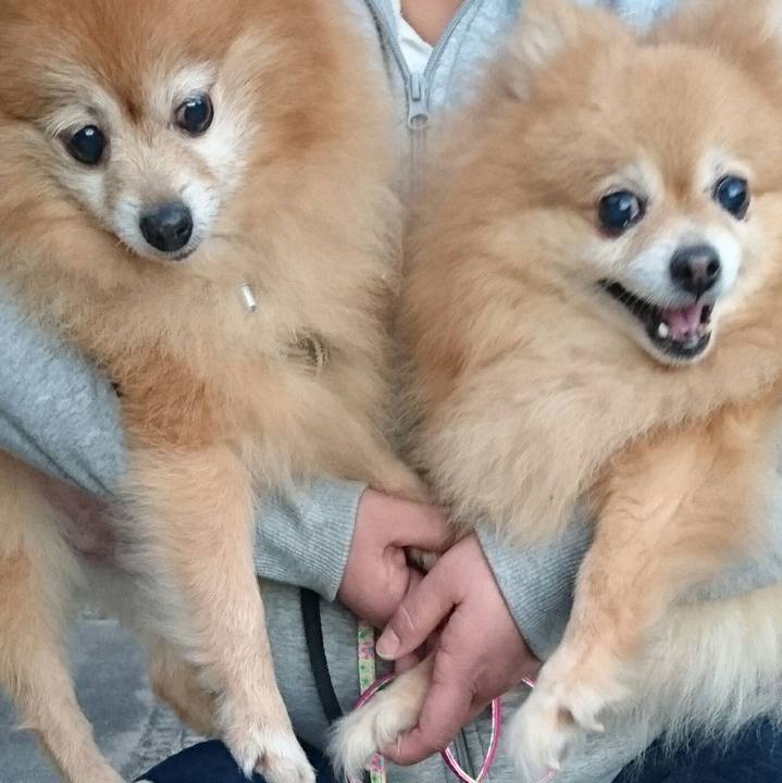 975b8c9a f3b0 4046 b200 987b28a5b1e7