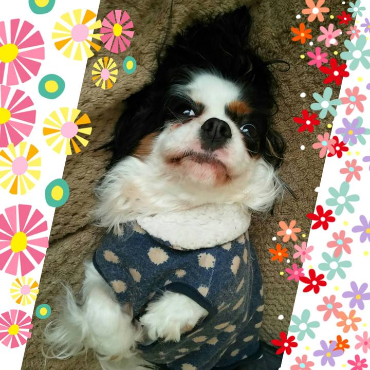 975be83b 9ea9 41dc b666 4f7b18e433eb