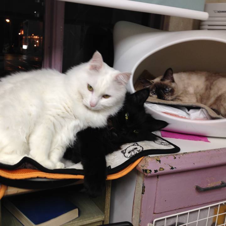 975c1537 f48d 4a5b ad66 f52abb21a2d8