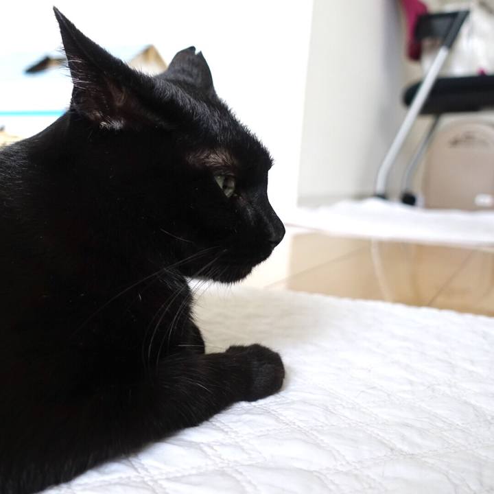 975ccf91 fe5f 44c9 afd8 aec9cbd3b5fd