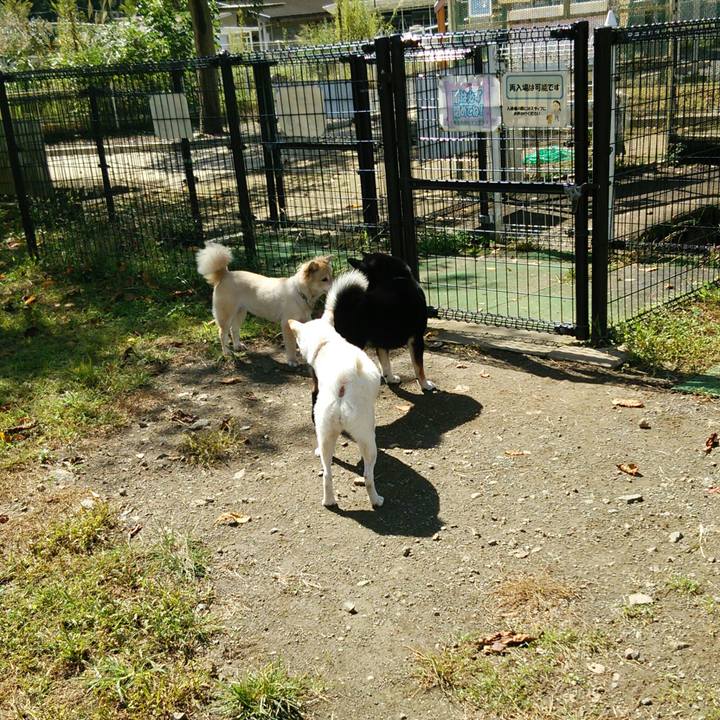 975cd0e0 8f2e 4c3f 942d d18311e8d547