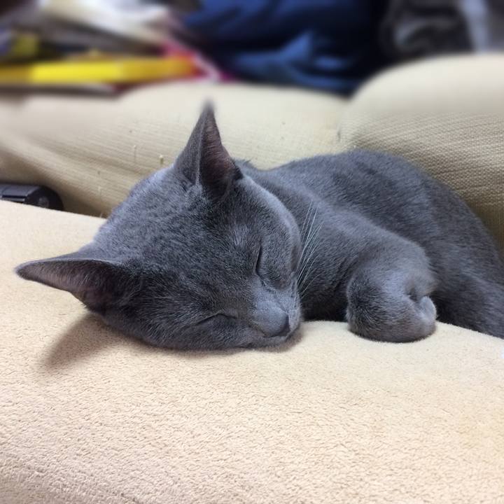 975d479a e764 4dff ad6e cdd44043a37b