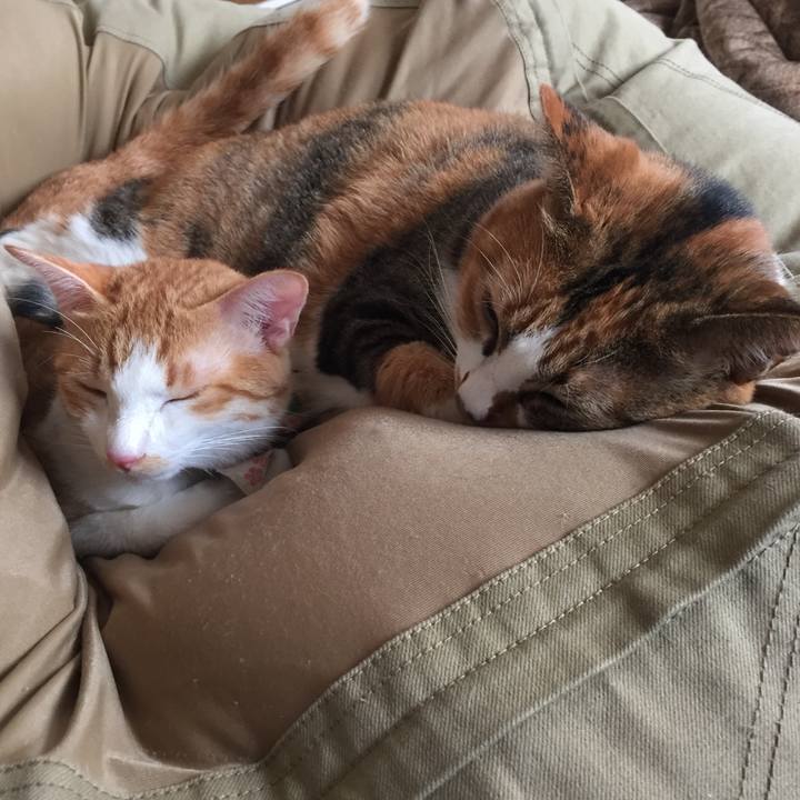 975d9ad7 c426 41b1 b1d7 82f1c7eb86da