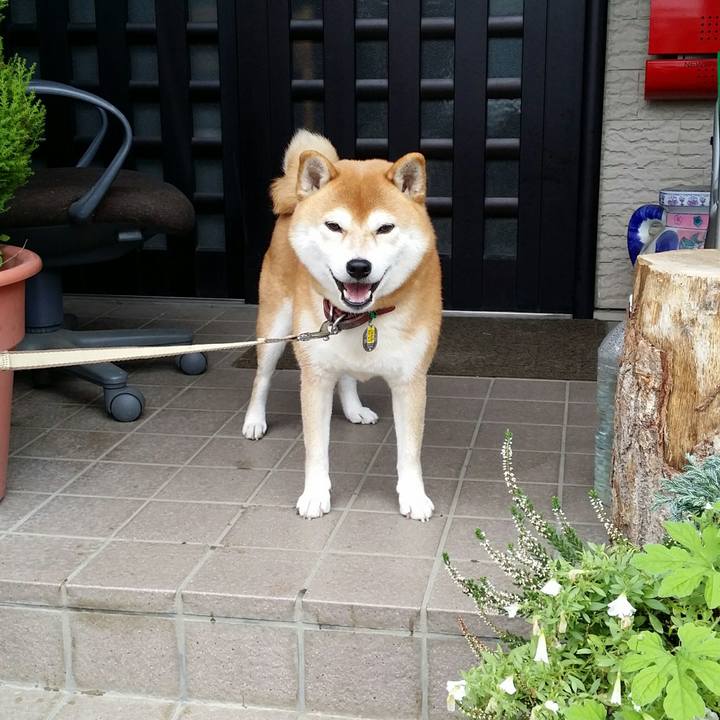 975db642 8e15 42b6 9220 23de03aa27cf