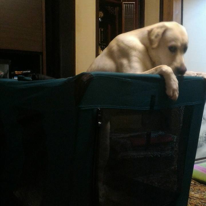 975e5aa2 4267 421a b78c 1174e957f9d5