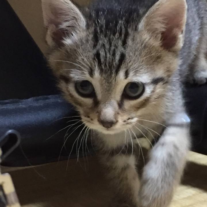 975f057c e438 412e 87bc ffca0d865fbd