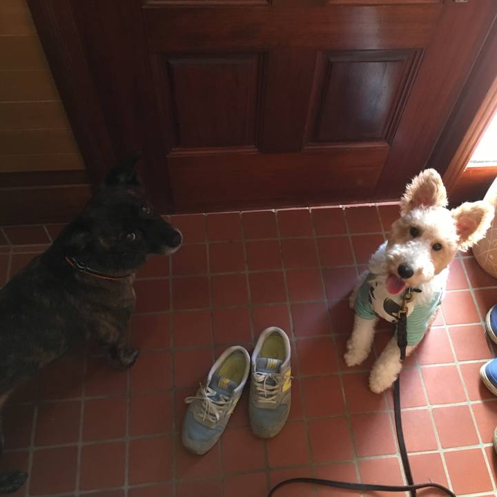 975fde50 c71d 426d a494 80ec697ce3d7