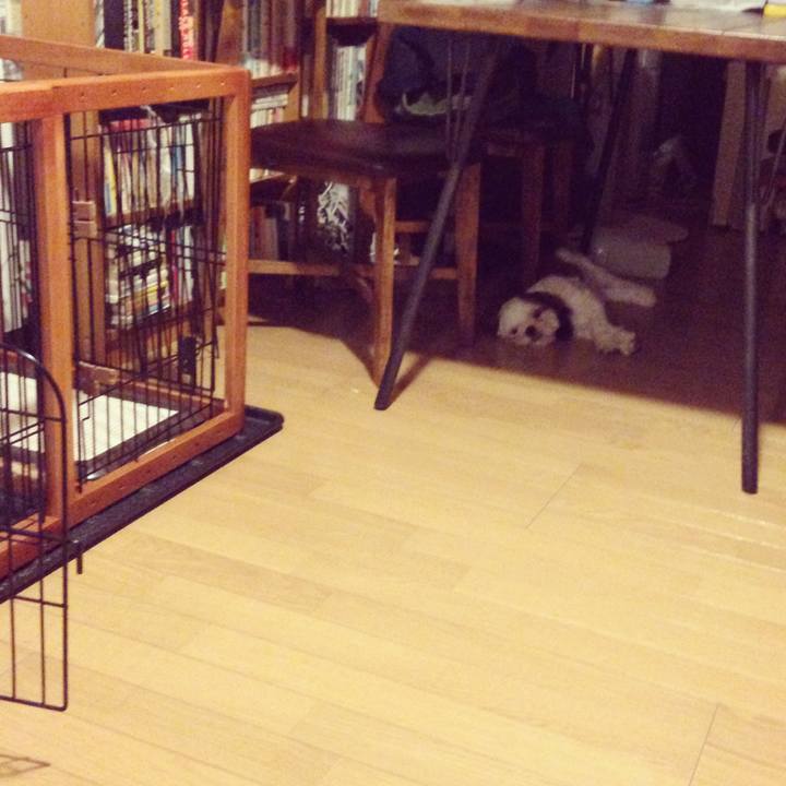 97604001 0c32 441d 8f98 d5c54bedac10