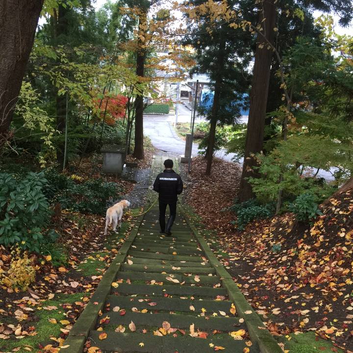 9760867b a2ec 4dc6 959a 1805e43b7f7a