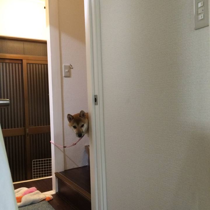 97617e22 eefa 4b8d a50e bdf72ed5cbbe