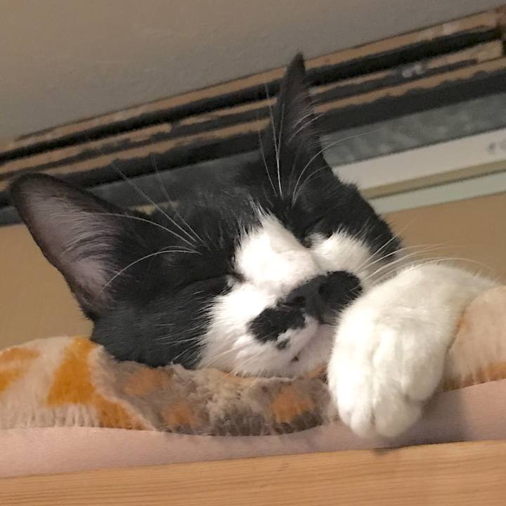 97619d04 3cf8 4897 bfc3 b600c67d21ac