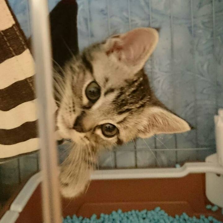 9761c5b9 152c 424c a2a3 3ce6a2b15cb9