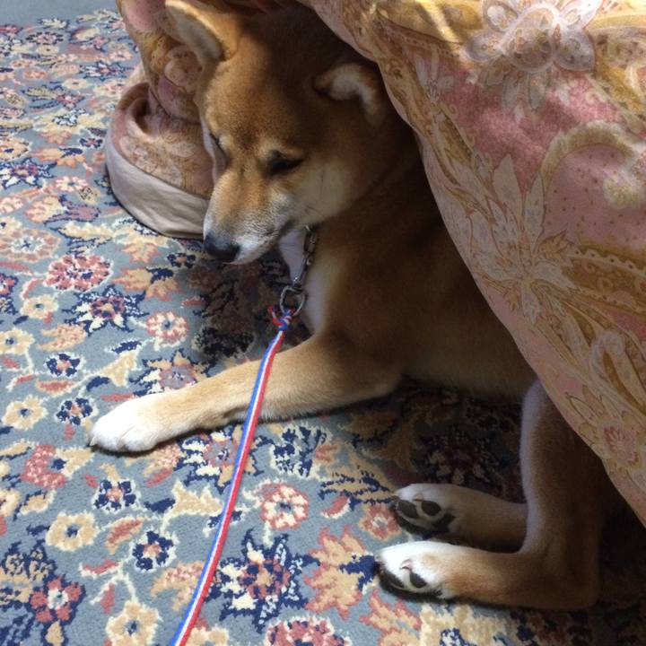 9761ec3b 15b0 49e2 b702 d08135b52136