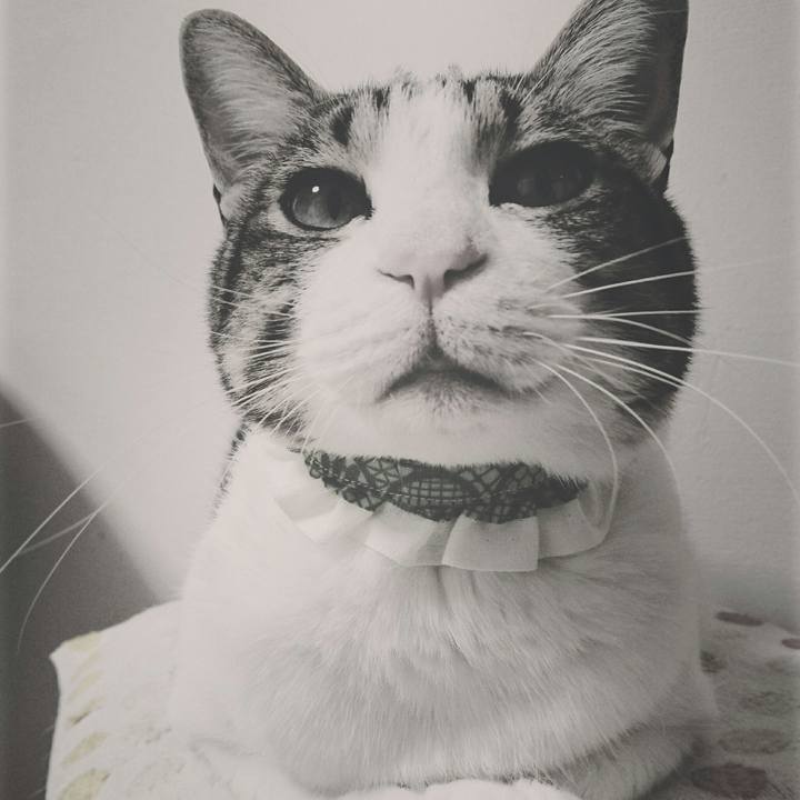 9762708c 13ab 4aee ac14 b3b62ea5a033