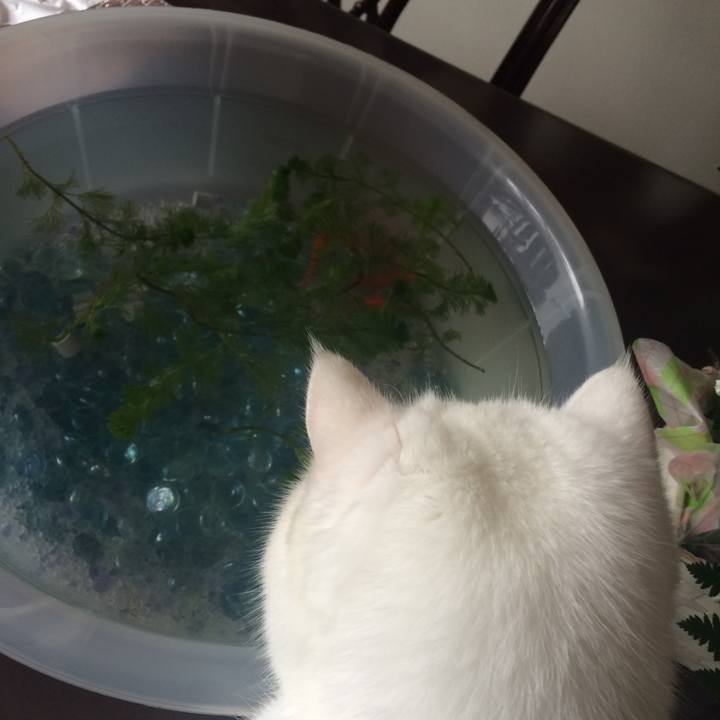 9762aedc b192 4c66 9548 c5960cbc6202