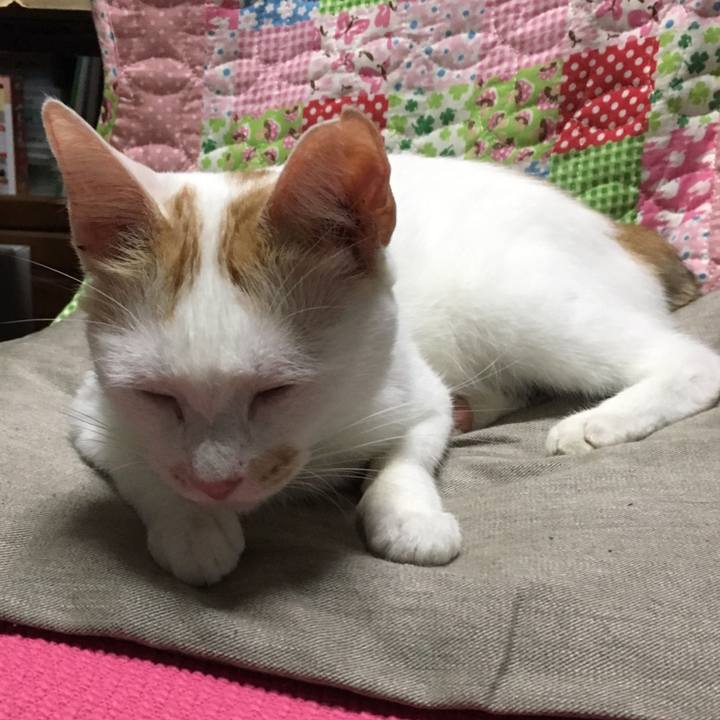 9762c582 91f9 4311 af7c c92c4c628026