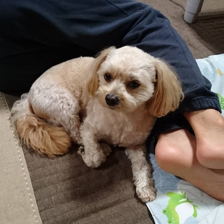 97638894 8d5b 47c5 b2b6 4c0d8d4c765e