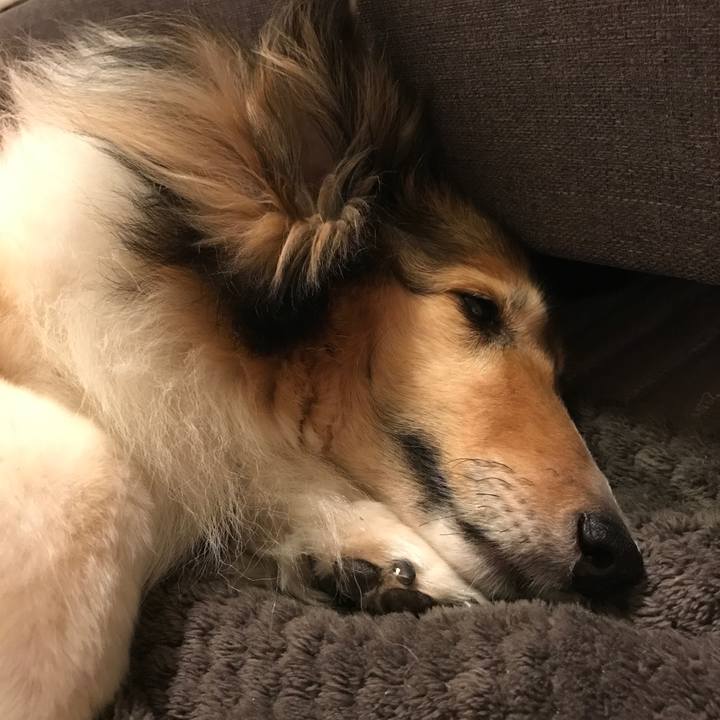 97643a29 4a9a 43d7 9bea 4feeac50815b