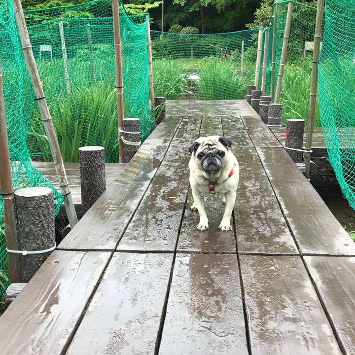 97644b56 b53a 4421 a009 e75b04d17b2e