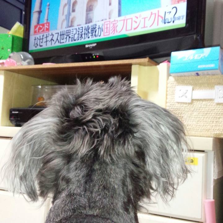 97654e2e af9c 4633 9add 1ce104dfb8d7