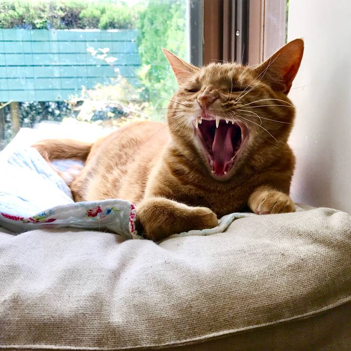 9765682c 1e23 4b41 94a2 2d4cb1506bd2