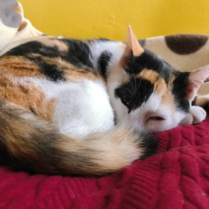 97657c40 44eb 4889 a98e e19b0108120c