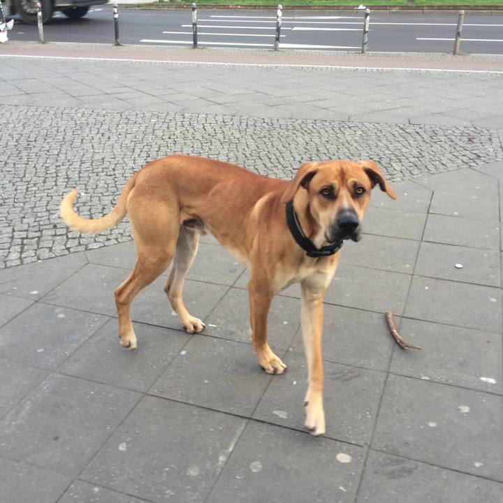 9765a60f ad8b 4386 9be2 8897a666ffa7