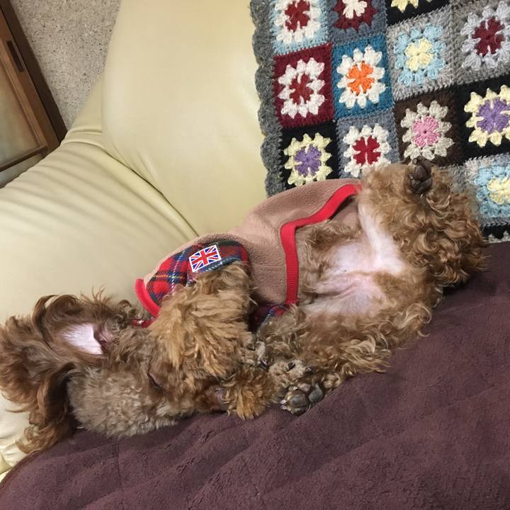 97671e44 35b5 4235 aa82 7af02bfe7615