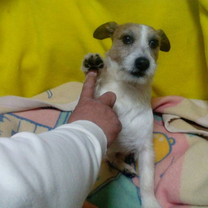 9767b924 e487 476c 87fe c7f009a4a94a